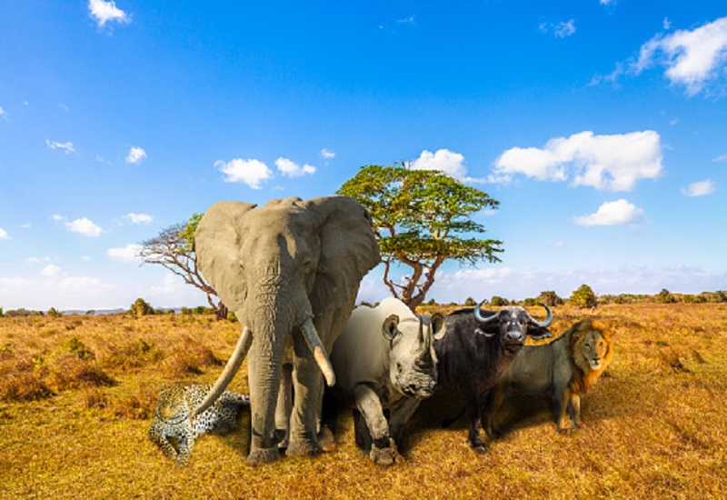 3 days Tanzania safari tour to Tarangire, Ngorongoro Crater and Lake Manyara National Parks