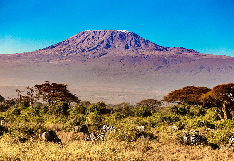 7 days Lemosho route Kilimanjaro trekking