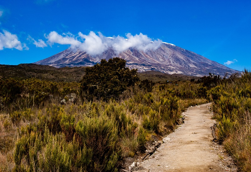 7 days Rongai route Kilimanjaro trekking