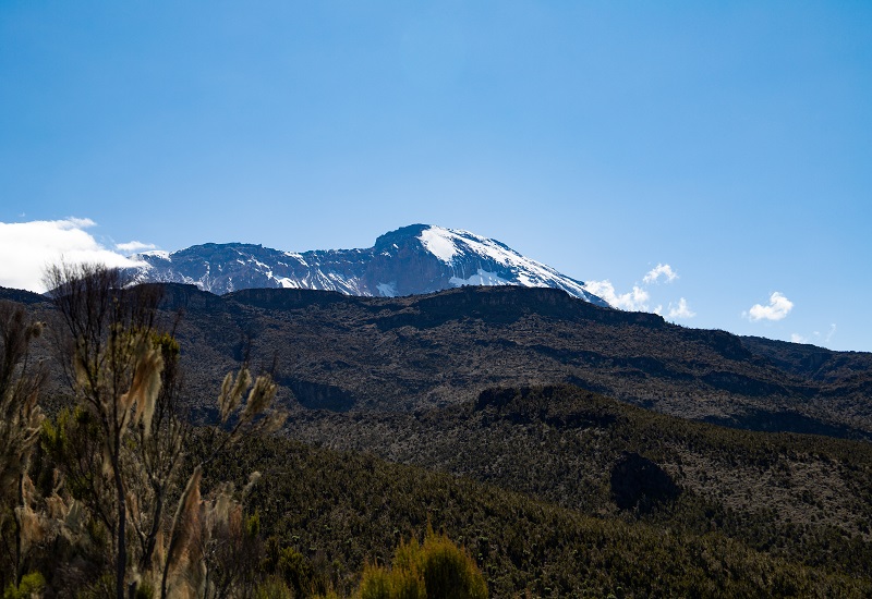 8 days Lemosho route Kilimanjaro trekking