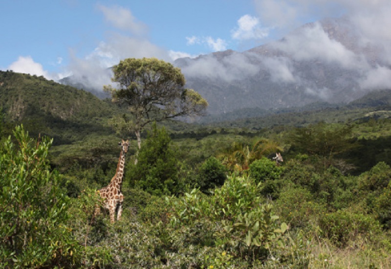 1 day Tanzania safari tour to Arusha National Park