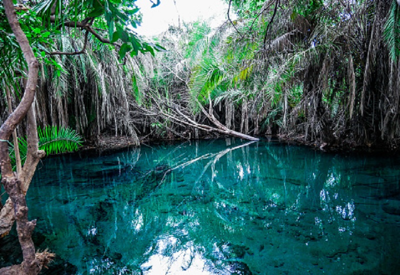 Kikuletwa/Chemka hot springs day trip