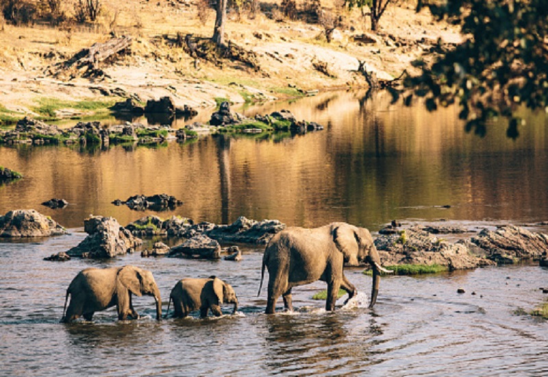 2 days safari sharing to Tarangire and Ngorongoro crater