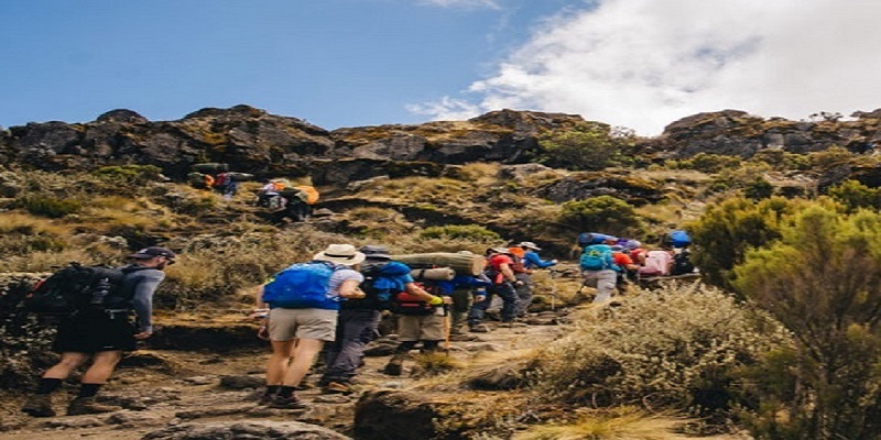 Climbing Kilimanjaro - Best Kilimanjaro Hiking Tours & Packages 2025/2026