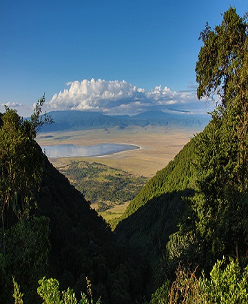 2 days Tanzania safari trip to Lake Manyara and Ngorongoro crater