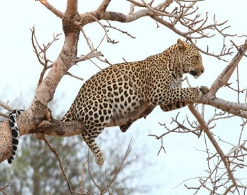  4-days-serengeti-and-ngorongoro-price