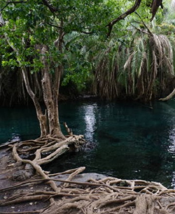 Chemka hot spring Tanzania day trips