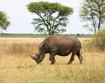  1 1-days-ngorongoro-crater