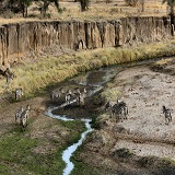 2 days Tanzania sharing safari to Kilimanjaro day hike and Tarangire National Park