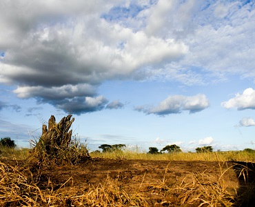 2 daytrips to Kilimanjaro hike and Tarangire